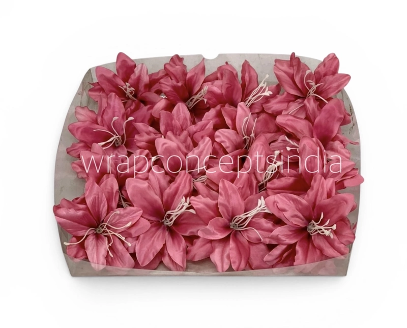 Raspberry Pink Lily