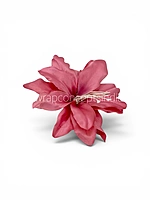 Raspberry Pink Lily