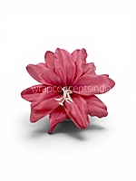Raspberry Pink Lily