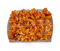 Maple Ember Lily