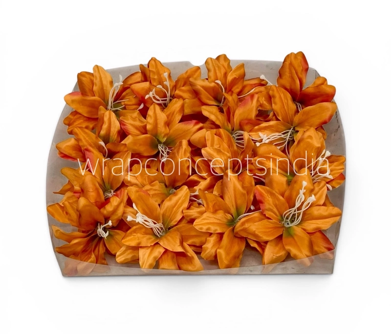 Maple Ember Lily