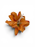 Maple Ember Lily