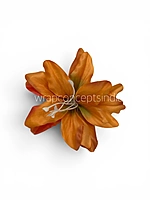 Maple Ember Lily