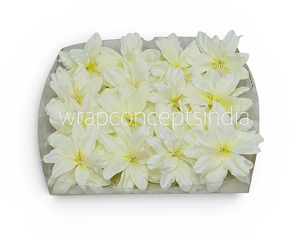 Ivory Mist Lily