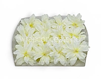Ivory Mist Lily