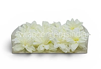 Ivory Mist Lily