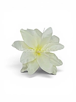 Ivory Mist Lily