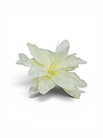 Ivory Mist Lily
