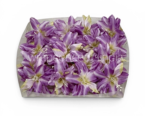 Lilac Cream Lily