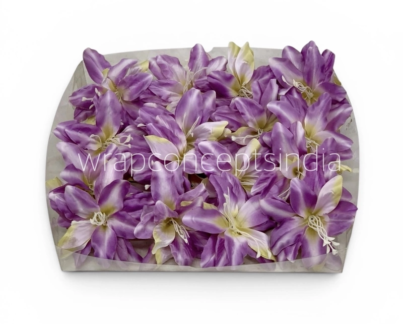Lilac Cream Lily