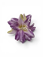Lilac Cream Lily