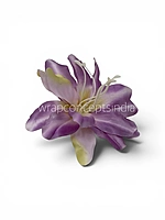 Lilac Cream Lily