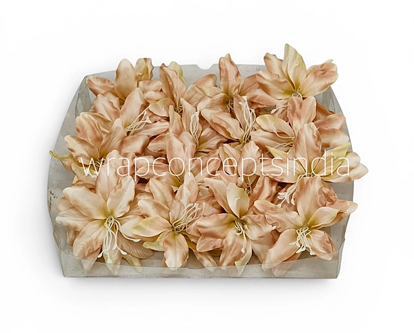 Soft Champagne Lily