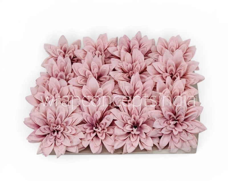 Powder Pink Dahlia