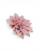Powder Pink Dahlia