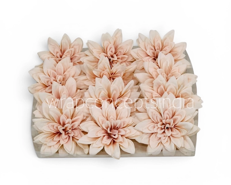 Soft Almond Dahlia
