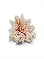 Soft Almond Dahlia