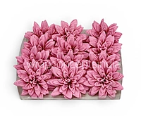 Rosé Petal Dahlia