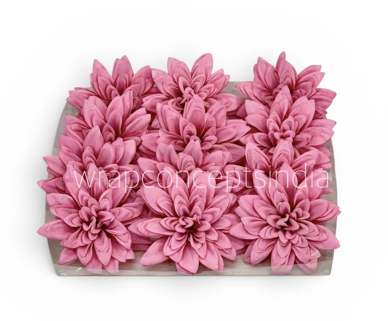 Rosé Petal Dahlia