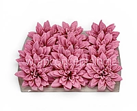 Rosé Petal Dahlia