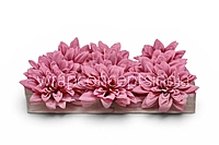 Rosé Petal Dahlia