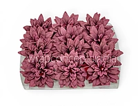 Merlot Bloom Dahlia
