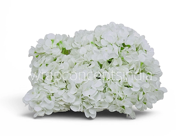Snow White Hydrangeas