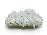 Snow White Hydrangeas