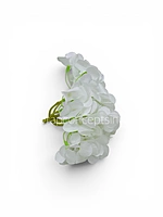 Snow White Hydrangeas