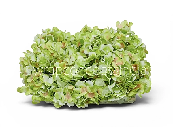 Lime Shaded Hydrangeas