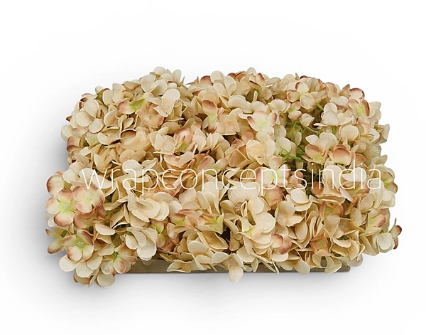 Cream Magenta Hydrangeas