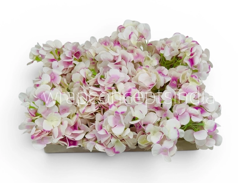 White Pink Shaded  Hydrangeas