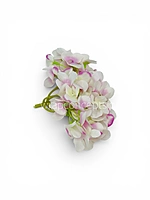 White Pink Shaded  Hydrangeas