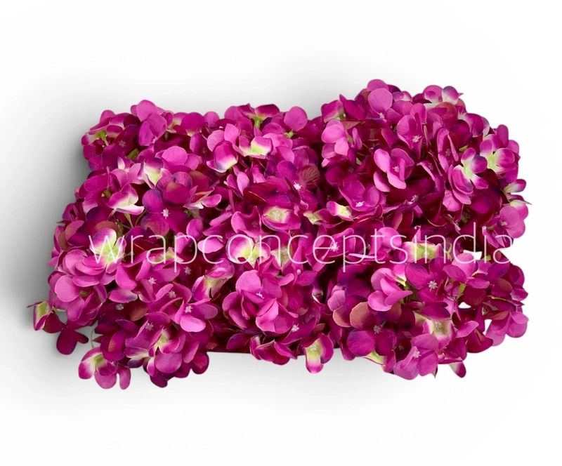 Shaded Magenta Hydrangeas