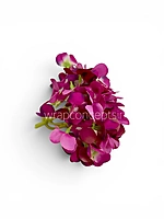 Shaded Magenta Hydrangeas