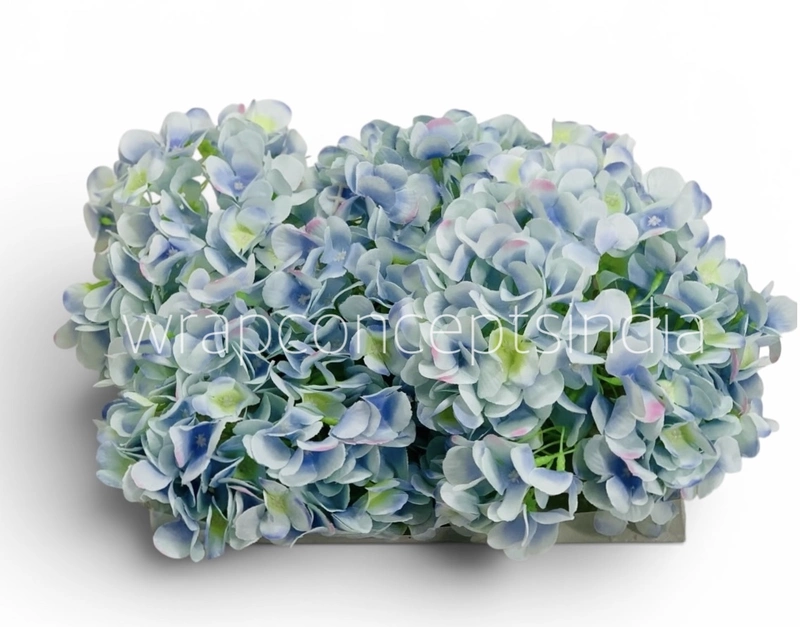 Blue Shaded  Hydrangeas