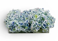 Blue Shaded  Hydrangeas