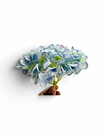 Blue Shaded  Hydrangeas
