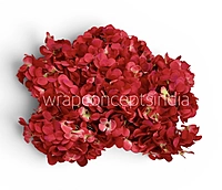 Red Shaded  Hydrangeas
