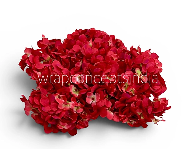 Red Shaded Hydrangeas