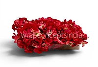 Red Shaded  Hydrangeas
