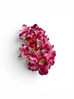 Deep Magenta Hydrangeas