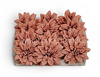 Dusty Coral Dahlia