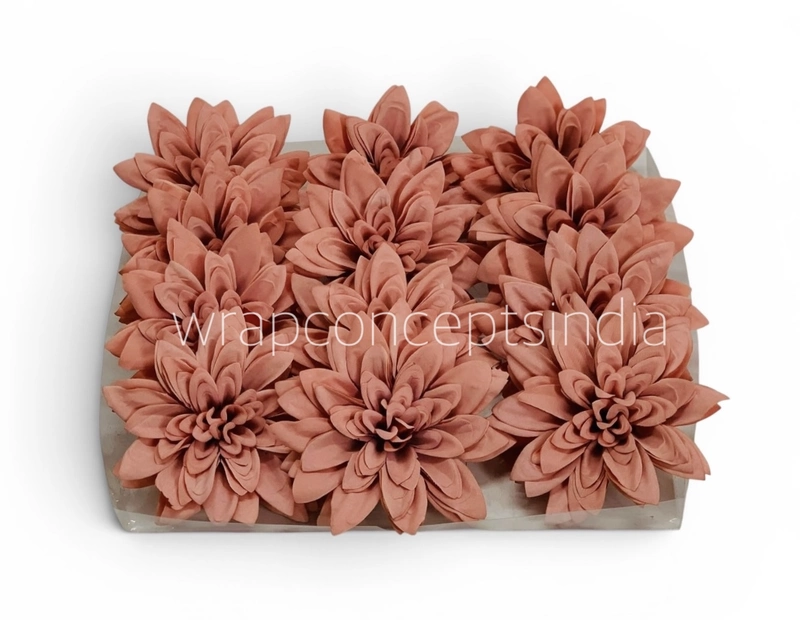Dusty Coral Dahlia