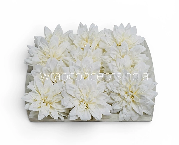 Pearl Frost Dahlia