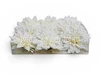 Pearl Frost Dahlia