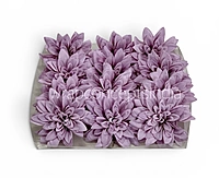 Amethyst Bloom Dahlia