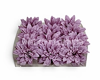 Amethyst Bloom Dahlia