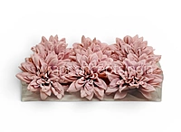 Blush Velvet Dahlia