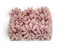 Blush Velvet Dahlia